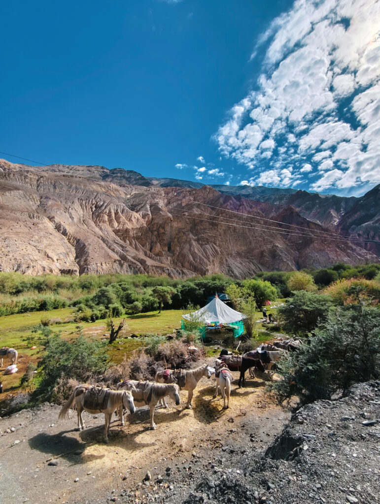 Kang Yatse II – 2025